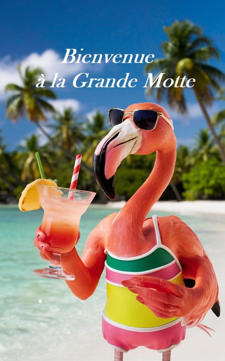 Mes Vacances A La Mer Studio 4 Pers, Parking Prive, Wifi, Linges Fournis, Climatisation La Grande-Motte