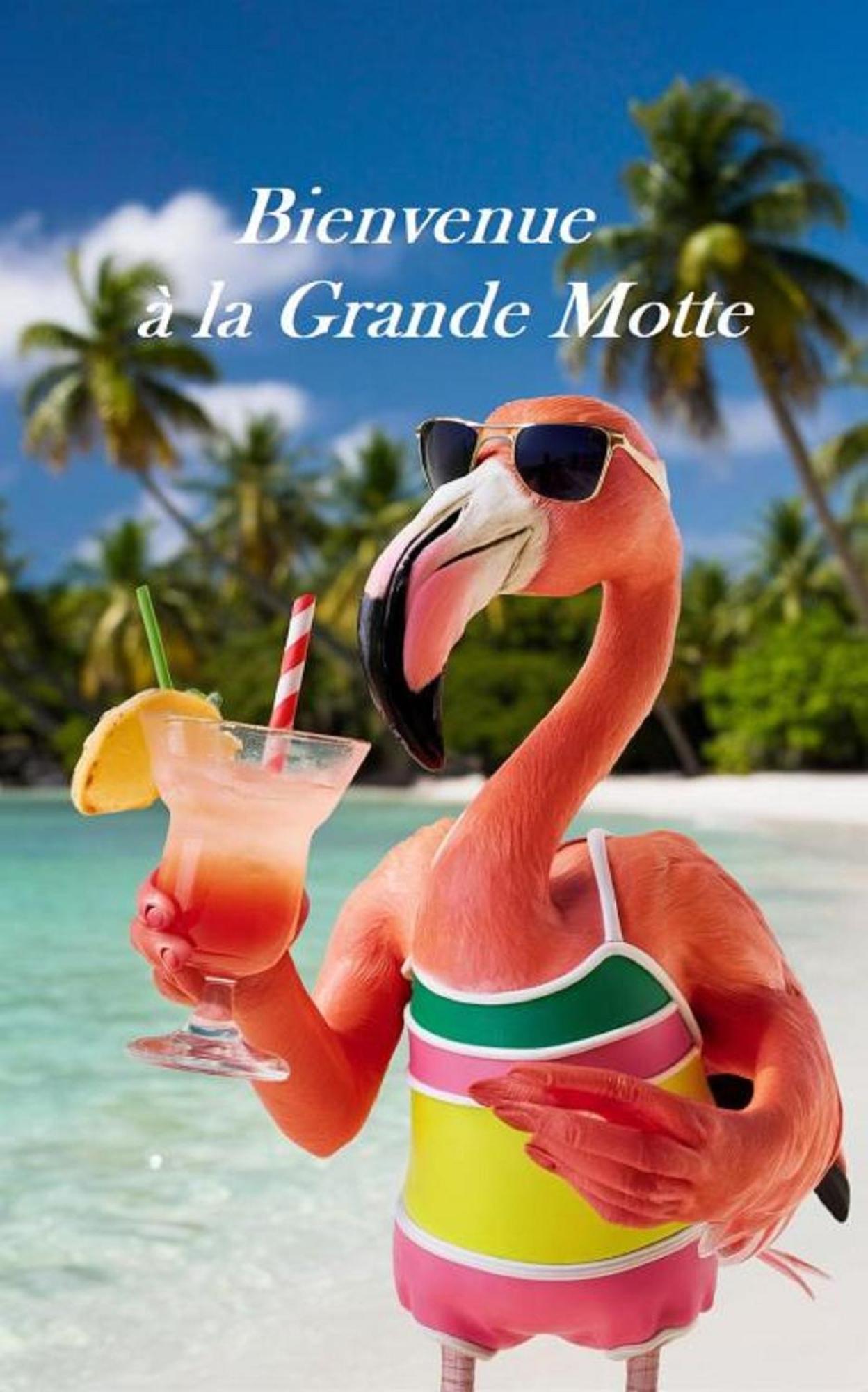 Mes Vacances A La Mer Studio 4 Pers, Parking Prive, Wifi, Linges Fournis, Climatisation La Grande-Motte